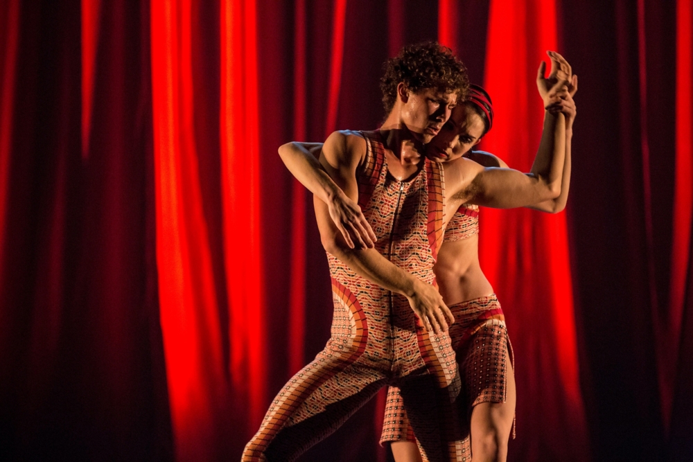 https://s7d9.scene7.com/is/image/RoseBrand/Royal-Ballet-of-Flanders-Voile-Poly Silk-3